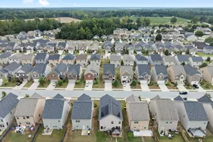 2639 Lovejoy Crossing Dr, Hampton, GA 30228 - Photo 14