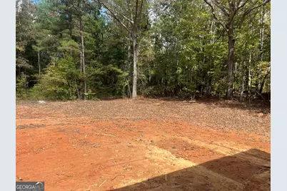 225 Panola Road, Jackson, GA 30233 - Photo 12