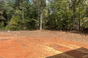 225 Panola Rd, Jackson, GA 30233 - Photo 12