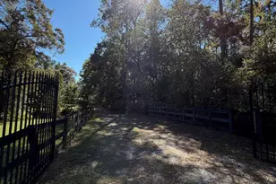 1621 St Marys River Bluff Rd, Saint George, GA 31562 - Photo 4