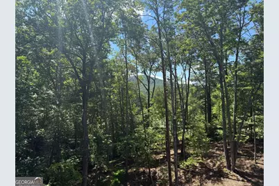 120 Green Ridge Road, Blue Ridge, GA 30513 - Photo 4