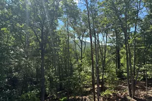 120 Green Ridge Rd, Blue Ridge, GA 30513 - Photo 4