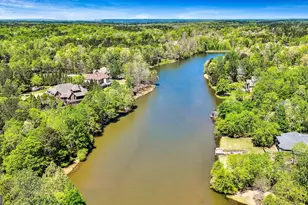 776 Arbor Springs Pkwy, Newnan, GA 30265 - Photo 76