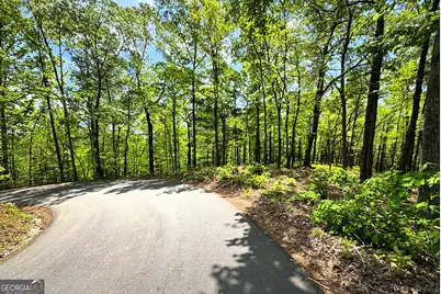 0 Lawrence Road, Dawsonville, GA 30534 - Photo 12