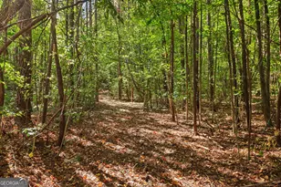 150 Wilson Dr, McDonough, GA 30252 - Photo 72