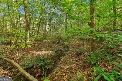 150 Wilson Drive, McDonough, GA 30252 - Photo 74