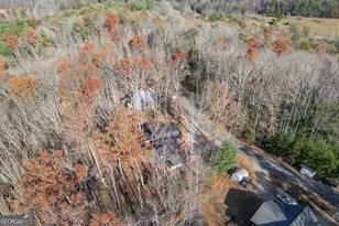 210 Mt Pleasant Ridge, Blairsville, GA 30512 - Photo 62