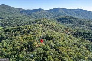 210 Mt Pleasant Ridge, Blairsville, GA 30512 - Photo 72