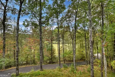 28 Fish Camp Way, Mineral Bluff, GA 30559 - Photo 24