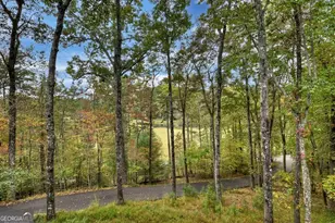 28 Fish Camp Way, Mineral Bluff, GA 30559 - Photo 24