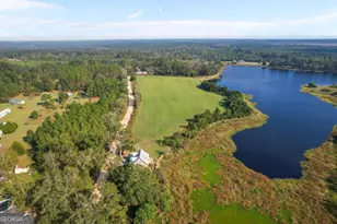 468 Lake Lannell Rd, Odum, GA 31555 - Photo 32