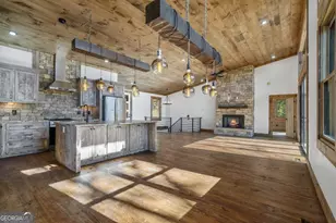 65 Wolf Creek Heights, Mineral Bluff, GA 30559 - Photo 10