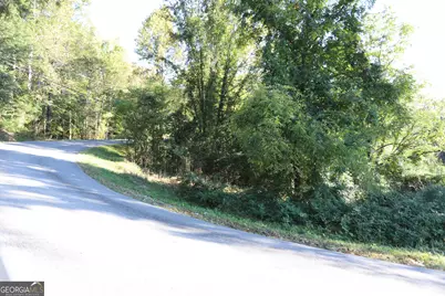 0 Dry Valley Road, Summerville, GA 30747 - Photo 2