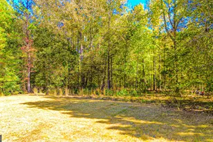 13158 Grey Wolf Ln, Covington, GA 30014 - Photo 46