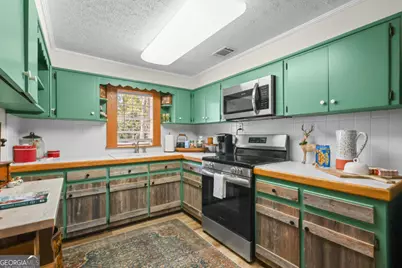 780 David Carter Road, Baxley, GA 31513 - Photo 14