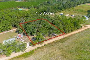 6162 Griner Rd, Patterson, GA 31557 - Photo 2