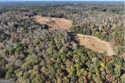 Between 366 &amp; 4 Antioch Road, Fayetteville, GA 30215 - Photo 12