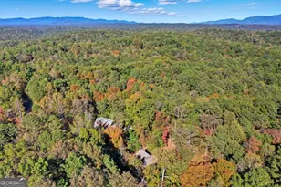 441 Carlisle Dr, Ellijay, GA 30540 - Photo 42