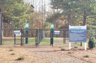 234 Storm Ln, Hoschton, GA 30548 - Photo 18