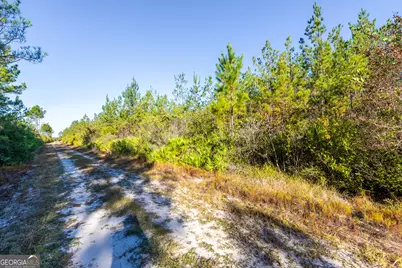 0 Odum Road, Ellwood, GA 31552 - Photo 10