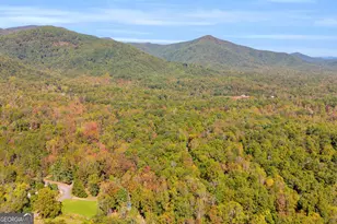 190 Shadows Dr, Sautee Nacoochee, GA 30571 - Photo 54