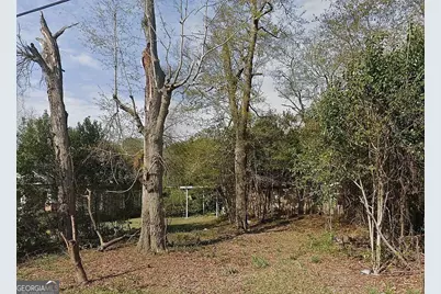 1055 Lamont Street, Macon, GA 31204 - Photo 2