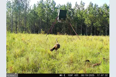 0 County Line Road, Talbotton, GA 31827 - Photo 94