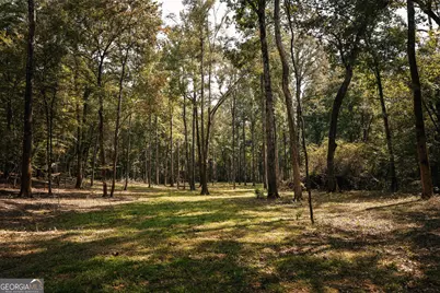 0 County Line Road, Talbotton, GA 31827 - Photo 22