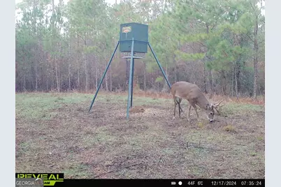 0 County Line Road, Talbotton, GA 31827 - Photo 92