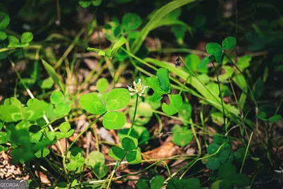 0 County Line Road, Talbotton, GA 31827 - Photo 54