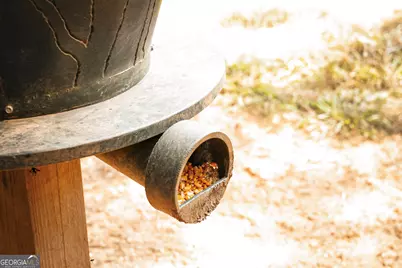 0 County Line Road, Talbotton, GA 31827 - Photo 26