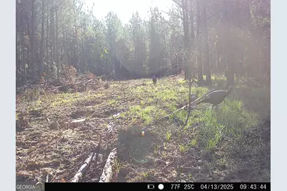 0 County Line Road, Talbotton, GA 31827 - Photo 82