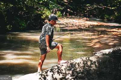 0 County Line Road, Talbotton, GA 31827 - Photo 12