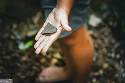 0 County Line Road, Talbotton, GA 31827 - Photo 10