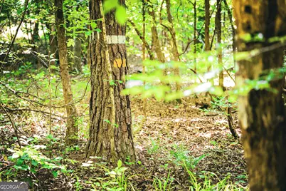 0 County Line Road, Talbotton, GA 31827 - Photo 58