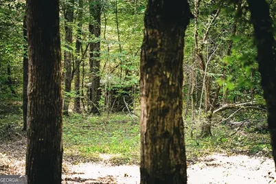 0 County Line Road, Talbotton, GA 31827 - Photo 46