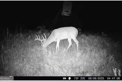 0 County Line Road, Talbotton, GA 31827 - Photo 96