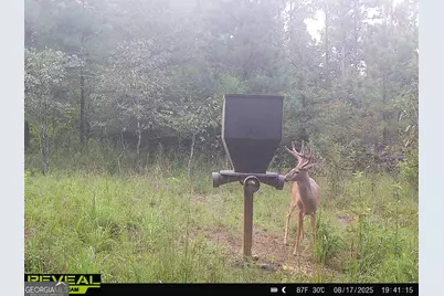 0 County Line Road, Talbotton, GA 31827 - Photo 88