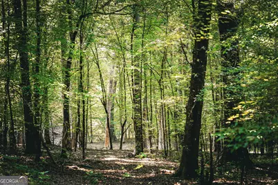 0 County Line Road, Talbotton, GA 31827 - Photo 44