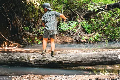 0 County Line Road, Talbotton, GA 31827 - Photo 66