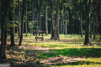 0 County Line Road, Talbotton, GA 31827 - Photo 50