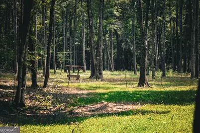 0 County Line Road, Talbotton, GA 31827 - Photo 48