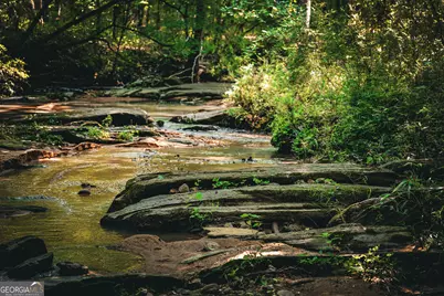 0 County Line Road, Talbotton, GA 31827 - Photo 74