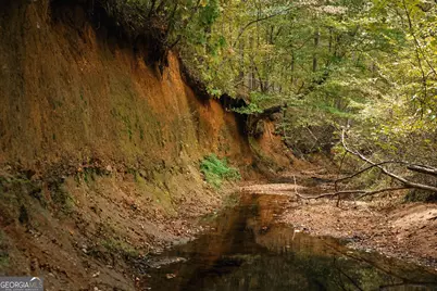 0 County Line Road, Talbotton, GA 31827 - Photo 16