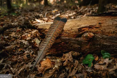 0 County Line Road, Talbotton, GA 31827 - Photo 32