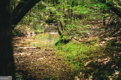 0 County Line Road, Talbotton, GA 31827 - Photo 62