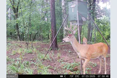 0 County Line Road, Talbotton, GA 31827 - Photo 102