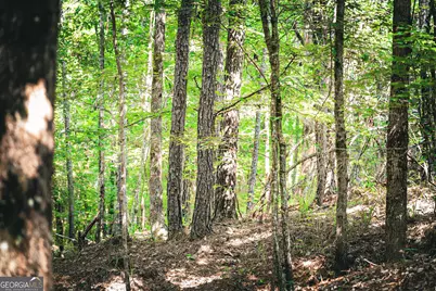 0 County Line Road, Talbotton, GA 31827 - Photo 80