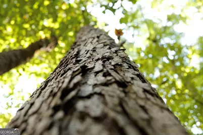 0 County Line Road, Talbotton, GA 31827 - Photo 34