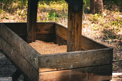 0 County Line Road, Talbotton, GA 31827 - Photo 68